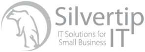 Silvertip It in Redmond, WA