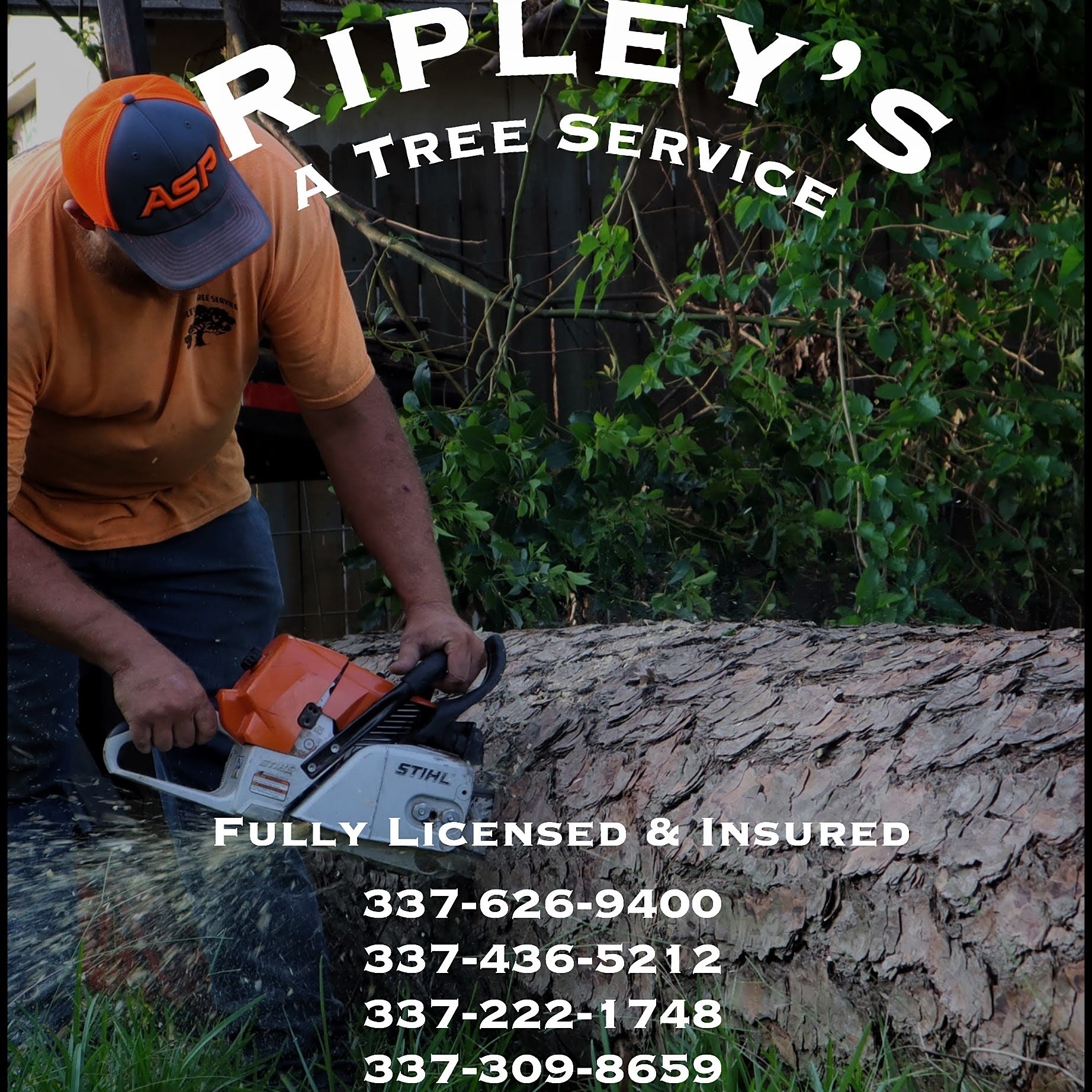 Ripleys Tree Service in Sulphur, LA