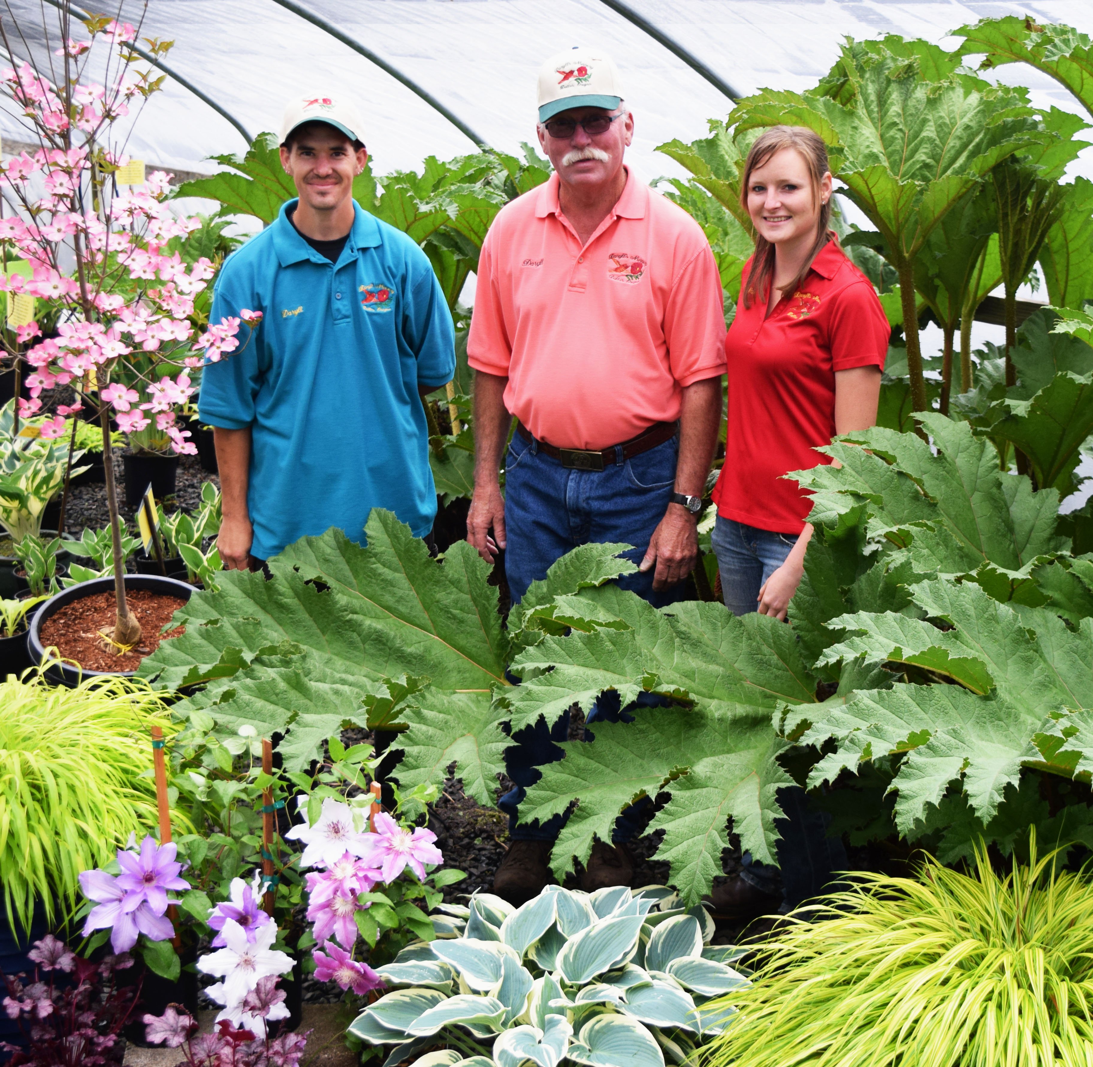 Daryll'S Nursery in Dallas, OR