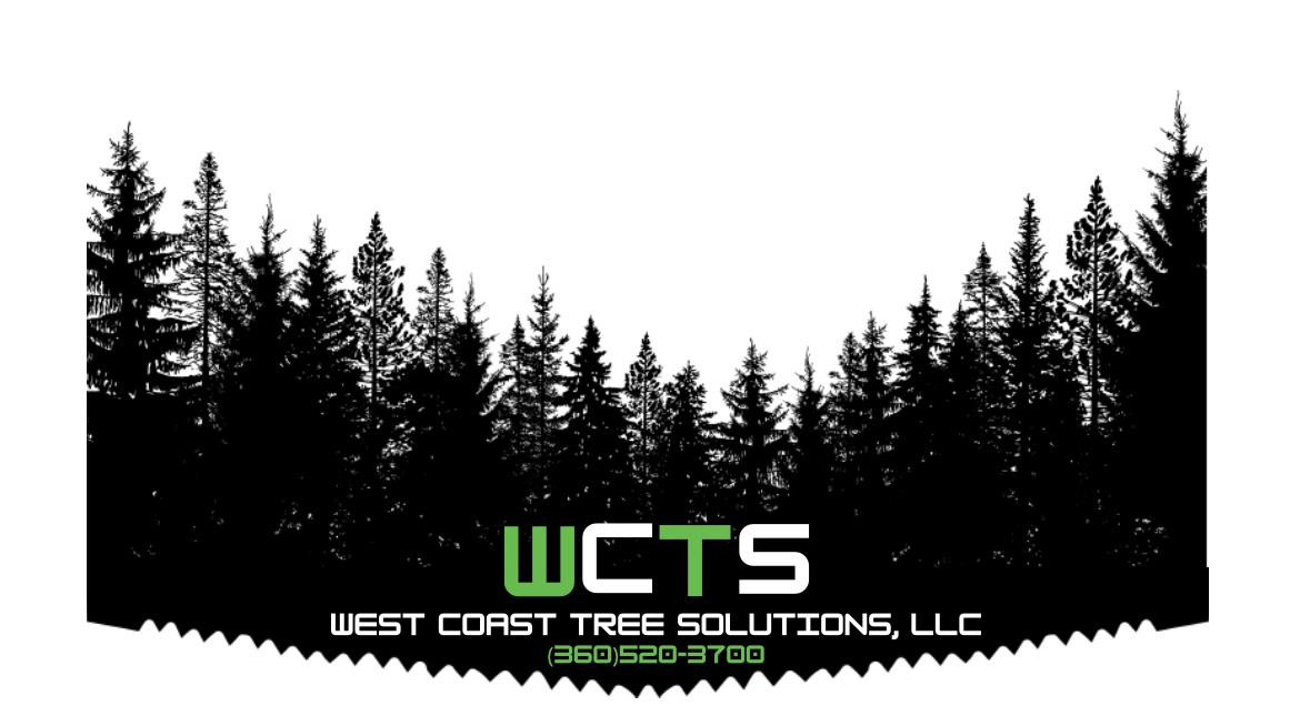 West coast tree solutions llc in Tenino, WA