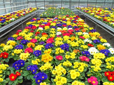 Faulkner Landscaping & Nursery Inc. in Hooksett, NH