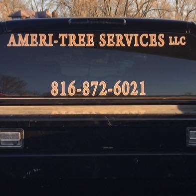 Ameri Tree Services, LLC in Oak Grove, MO