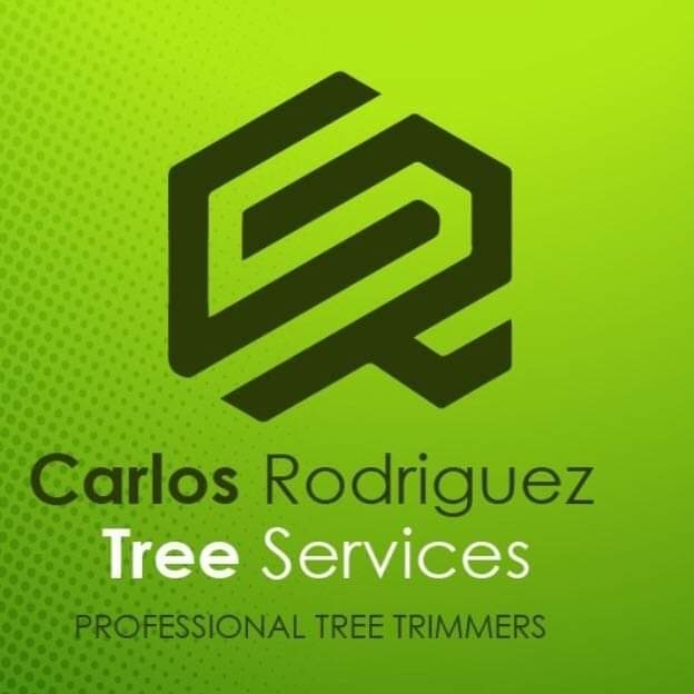 CR Tree Service in Independence, MO