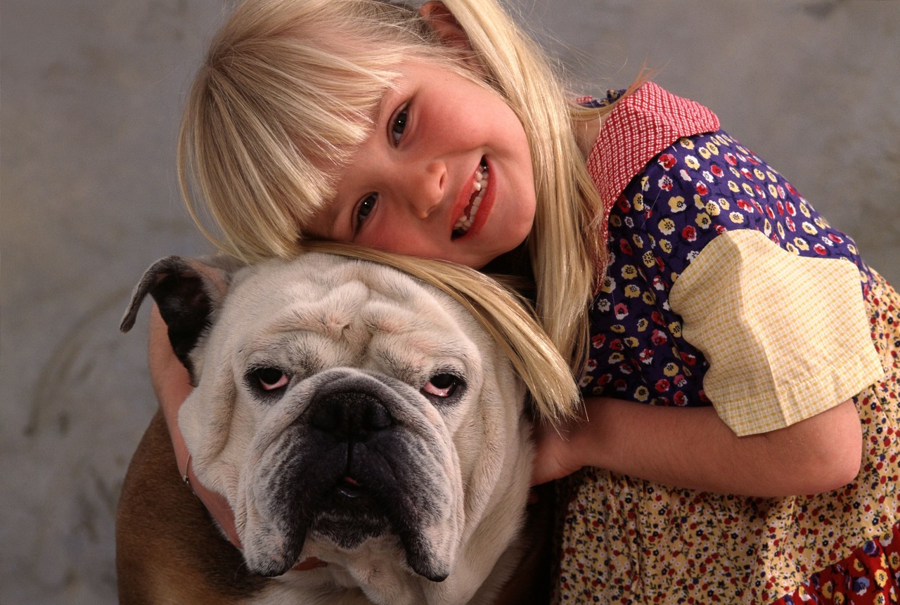Daly Carpet Cleaning & Flood Restoration in Pearl River, NY