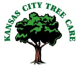 Kansas City Tree Service in Kansas City, KS