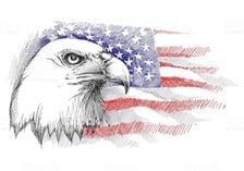 Eagle Green Construction, LLC in Worcester, PA