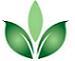 Professional Lawn and Tree in Olathe, KS