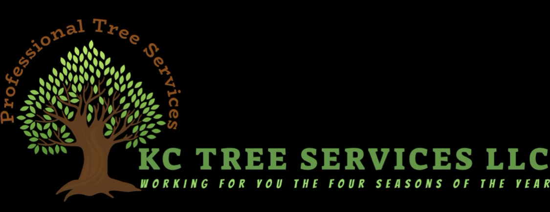 KC Tree Services  in Kansas City, MO