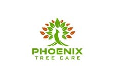 Phoenix Tree Care LLC in Olathe, KS