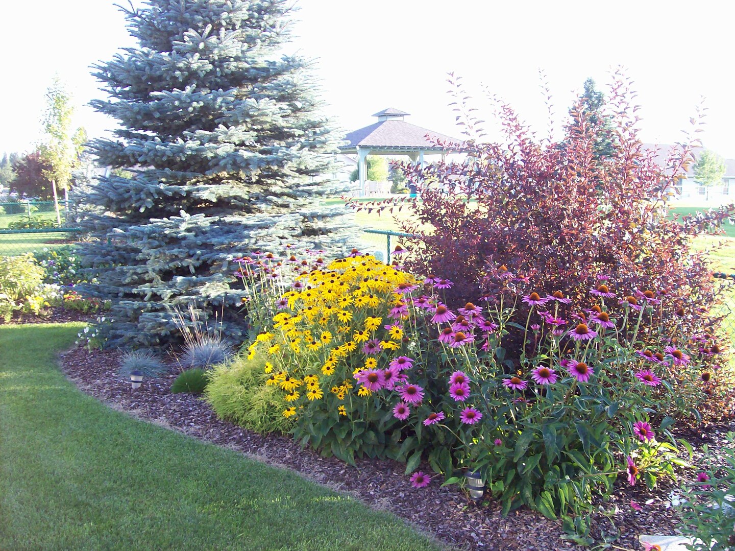 Pineview Horticultural Services in Hayden, ID