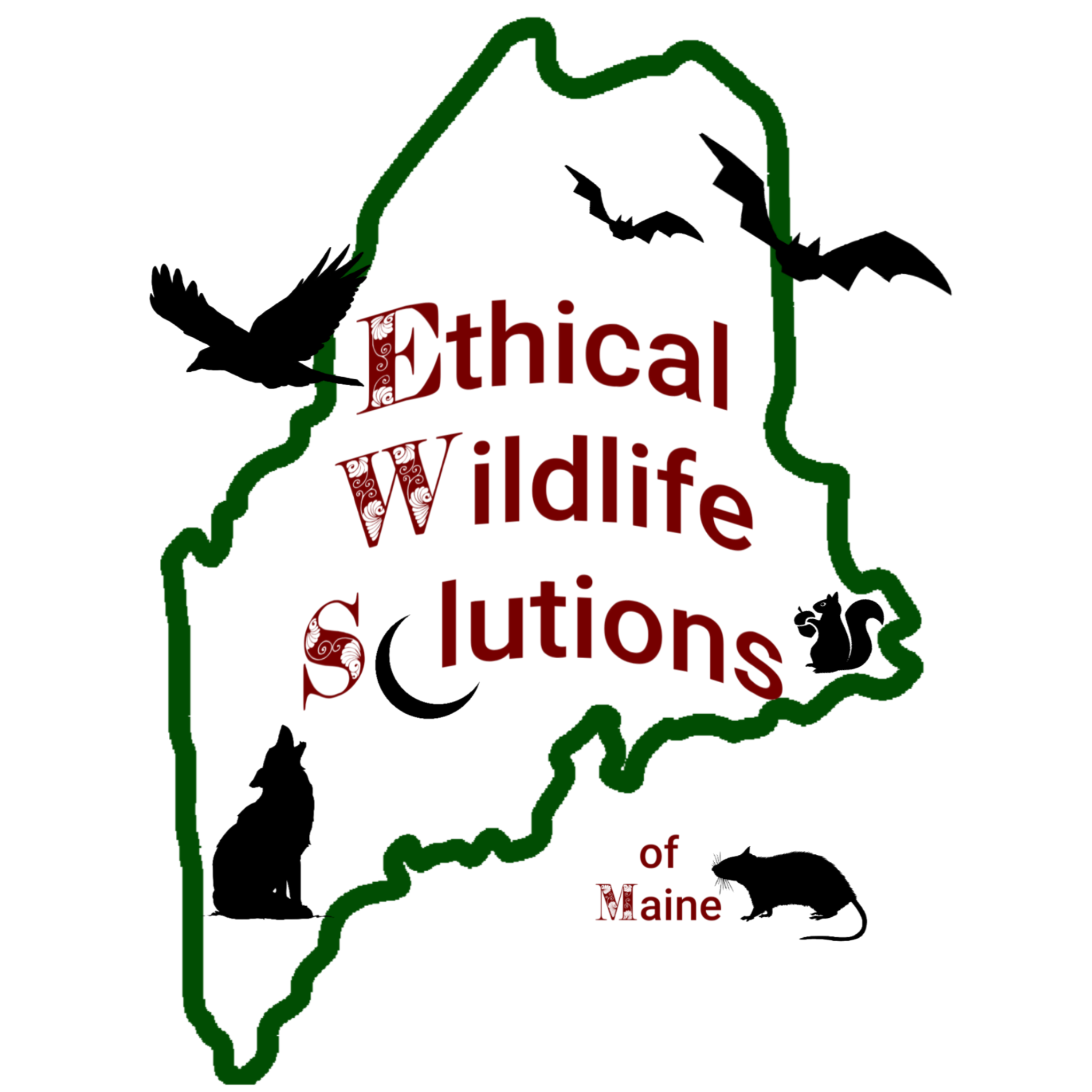 Ethical Wildlife Solutions Of Maine, Llp in Lewiston, ME