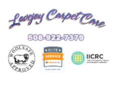 Lovejoy Carpet Care in Milford, MA