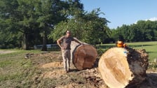 Griffin Tree & Land Services, LLC in Dothan, AL