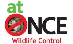 At Once Wildlife Solutions in Baltimore, MD