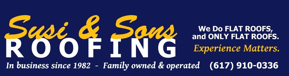Susi & Sons Roofing in Boston, MA