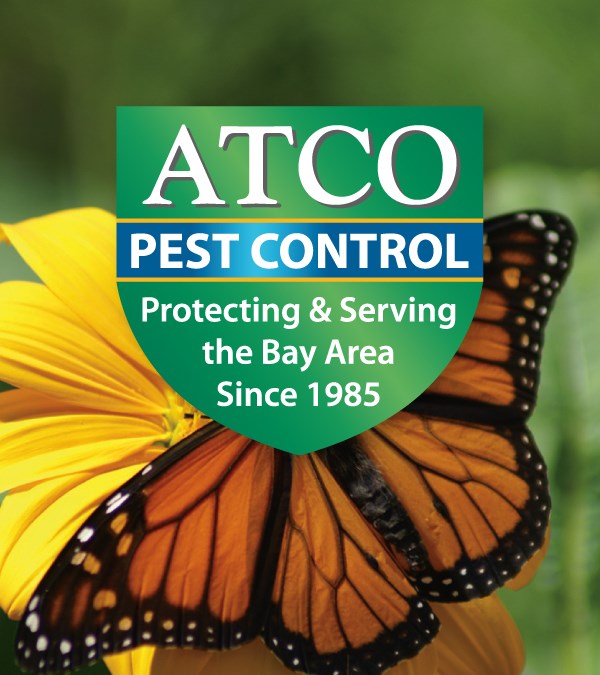 ATCO Pest Control in Petaluma, CA