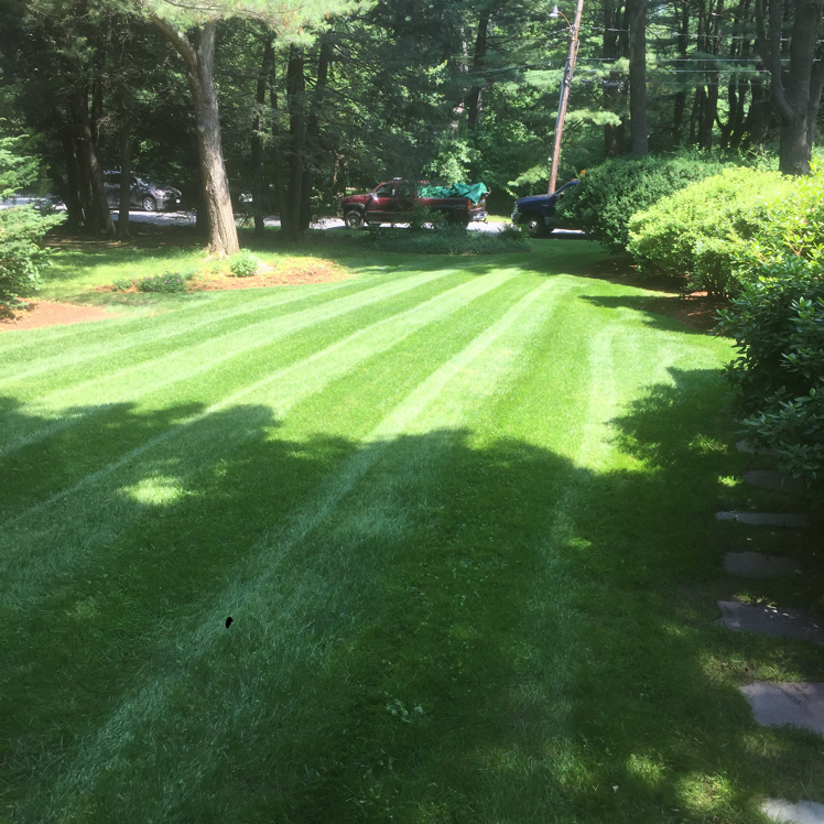 Rashidi Property Services in Lexington, MA