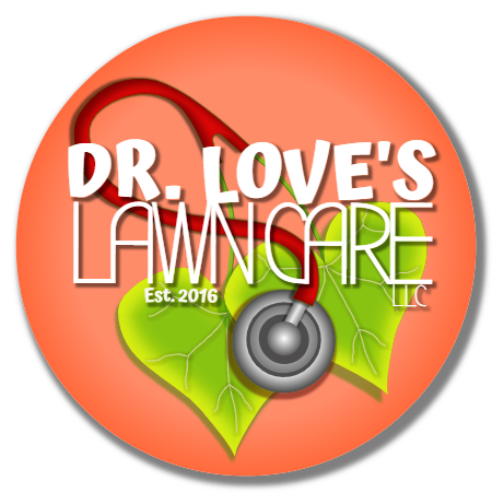 Dr. Love's Lawn Care in Gilbert, AZ