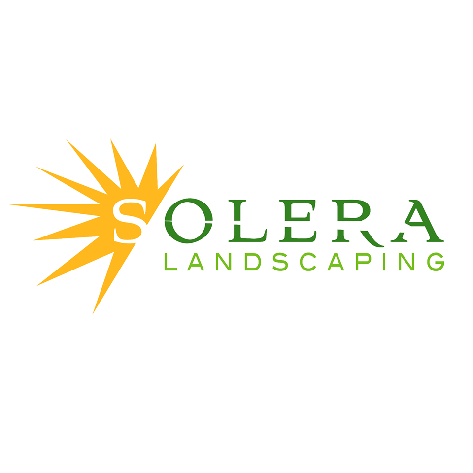Solera Landscaping in Tempe, AZ