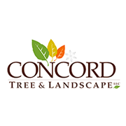 Concord Tree & Landscape in Marlborough, MA