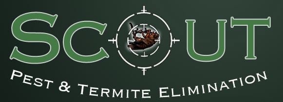 Scout Pest Elimination in Olathe, KS