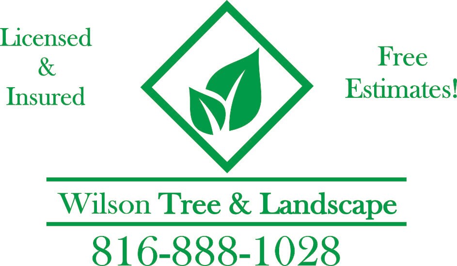 Wilson Tree and Landscape in Kansas City, MO
