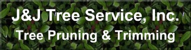 J & J Tree Service Inc in Encino, CA