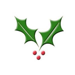 Holly Jo Green Cleaning in Vancouver, WA