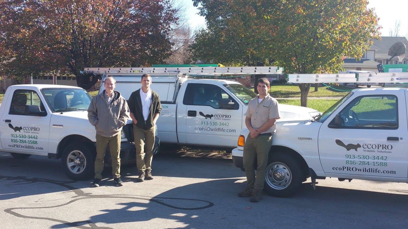 ecoPRO Wildlife Solutions in Kansas City, KS
