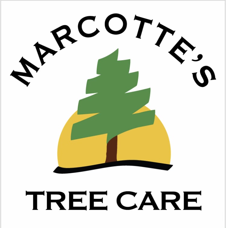 Marcotte's Tree Care in Oxford, ME