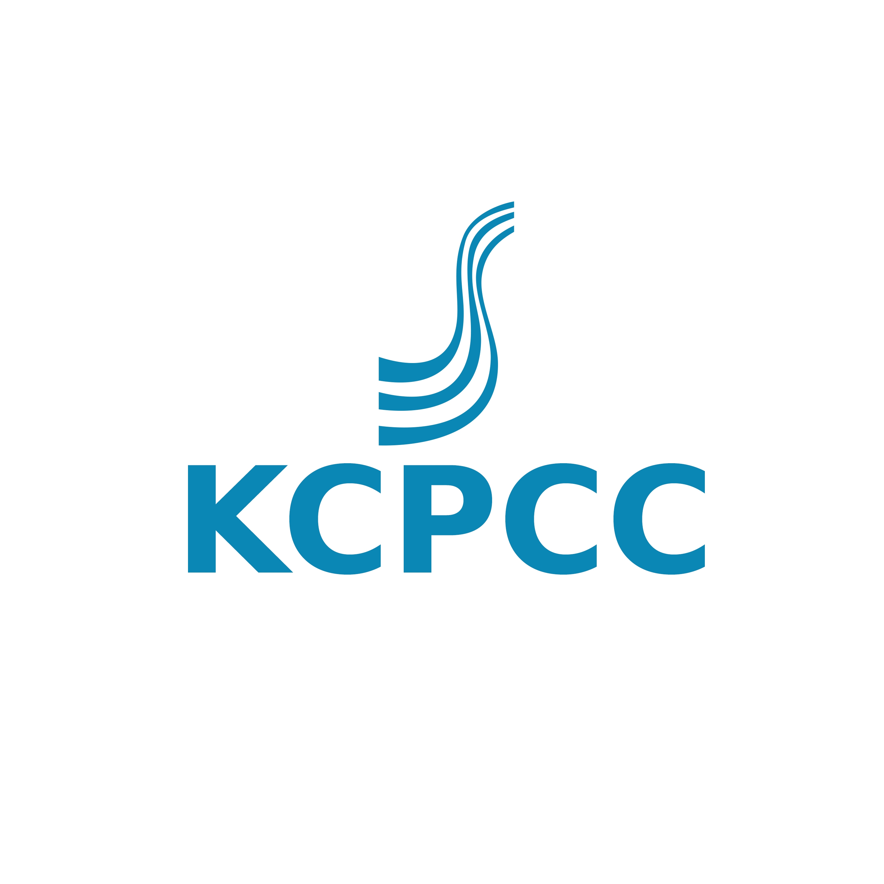 Kansas City Professional Cleaning Crew Llc in Independence, MO