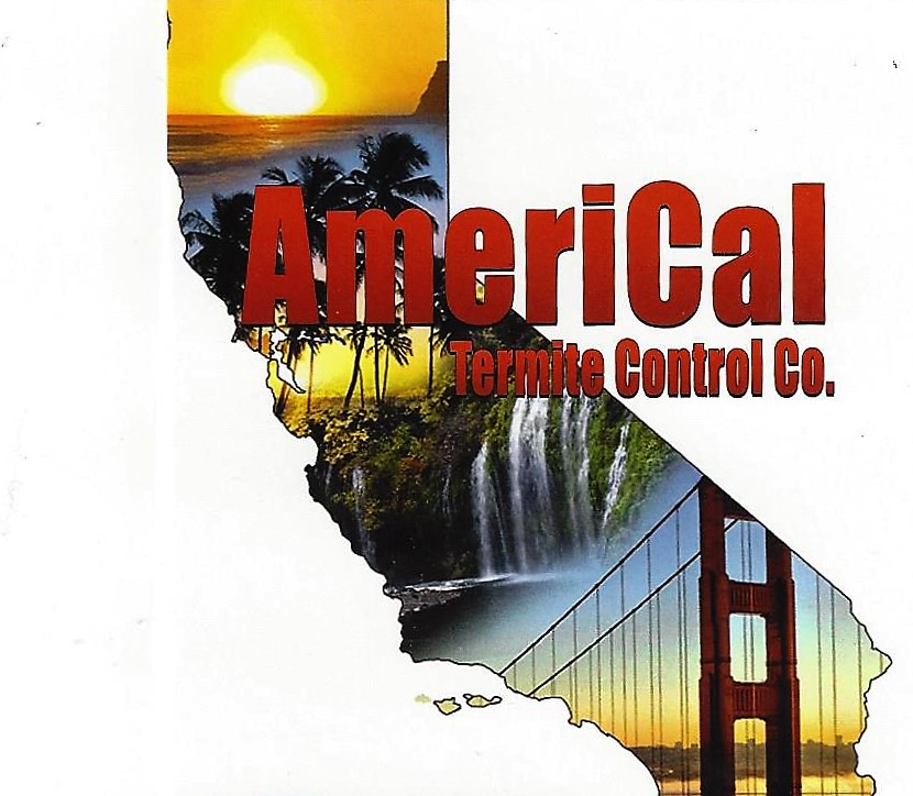 Americal Termite  in Whittier, CA