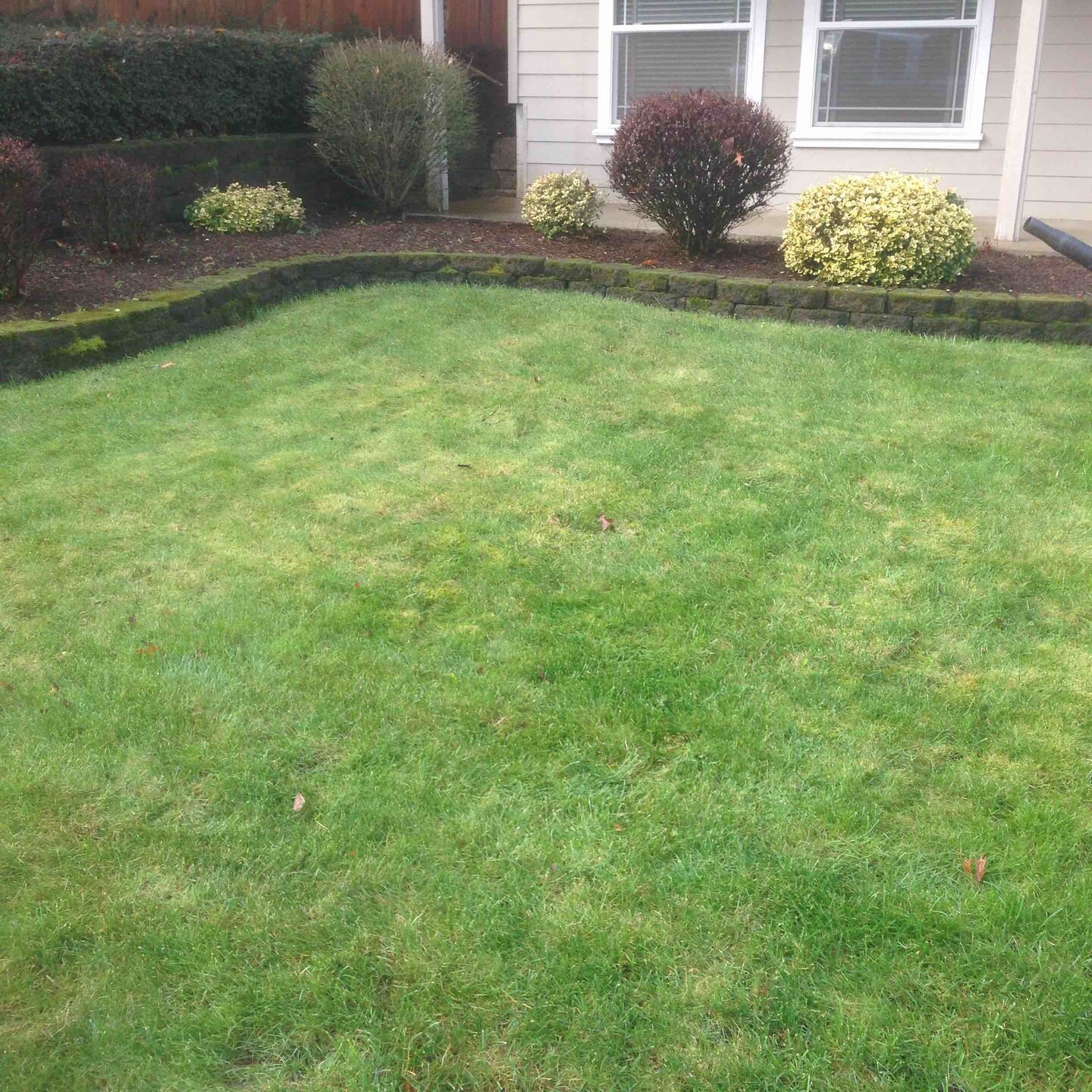 TG Lawn Service in Battle Ground, WA