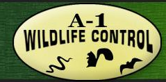 A 1 Wildlife Control in Charlotte, NC