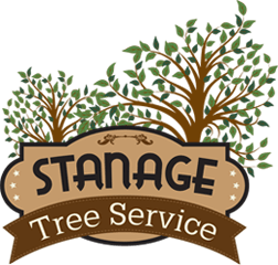Stanage Tree Service, Inc. in Fruitland Park, FL