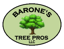 Barone's Tree Pros, LLC in Brandon, MS