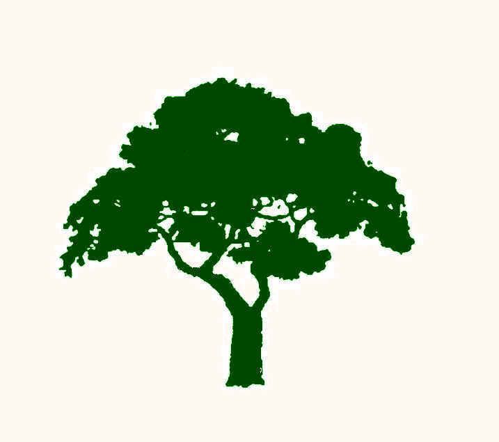 Environmental Design & Landscaping LLC in East Longmeadow, MA