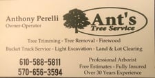 Ant's Tree Service in Mount Bethel, PA