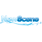 Newscene Pro Window Cleaning And Pressure Washing in Simpsonville, SC