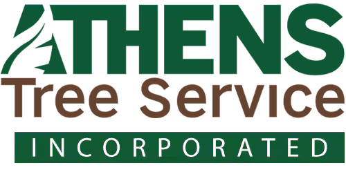 Athens Tree Service, INC. in Belton, SC