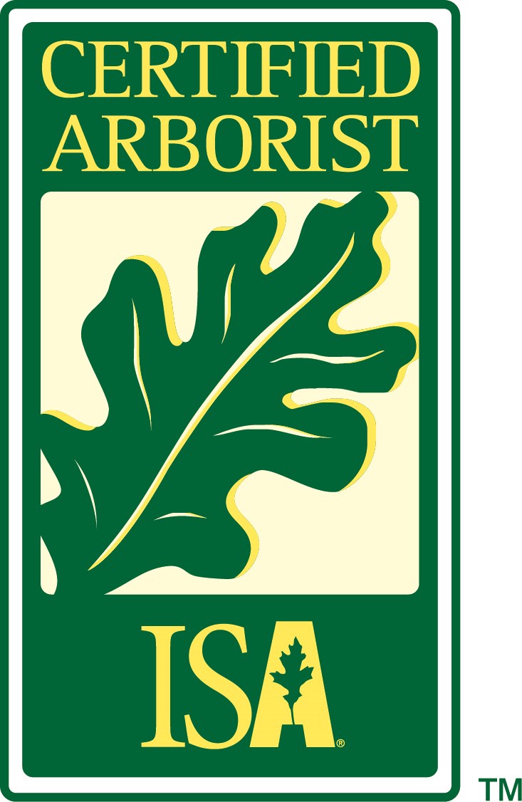 Jireh Tree Care LLC in Hialeah, FL