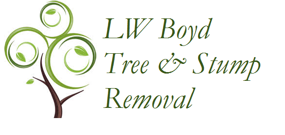 JD Boyd Tree and Lawn LLC in Miami, FL