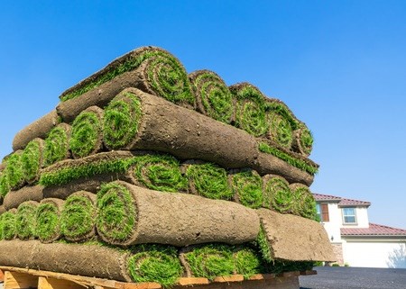 All Lawn & Landscaping LLC in Tacoma, WA