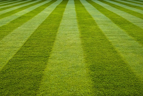 In Syts Snow Removal & Landscaping in Sterling Heights, MI