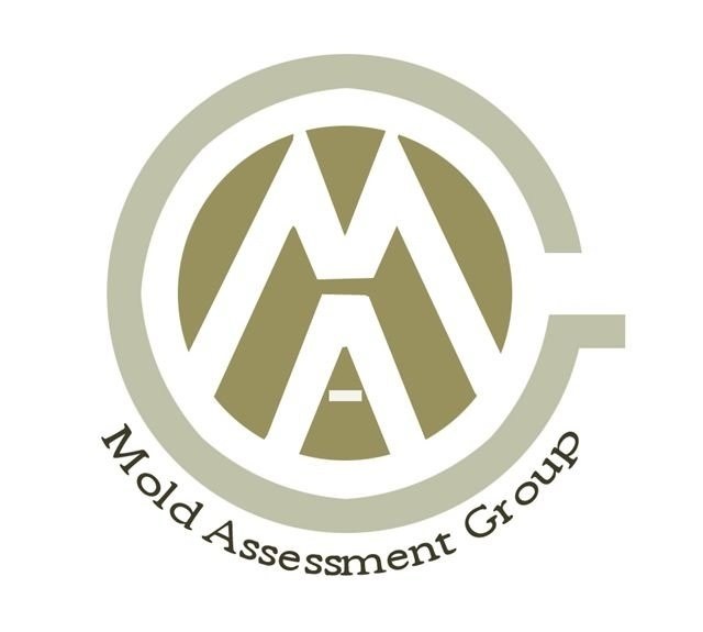 Mold Assessment Group of the Midlands, LLC in Columbia, SC