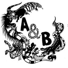A&B Reptile Removal and Wildlife Relocation, LLC in Okeechobee, FL