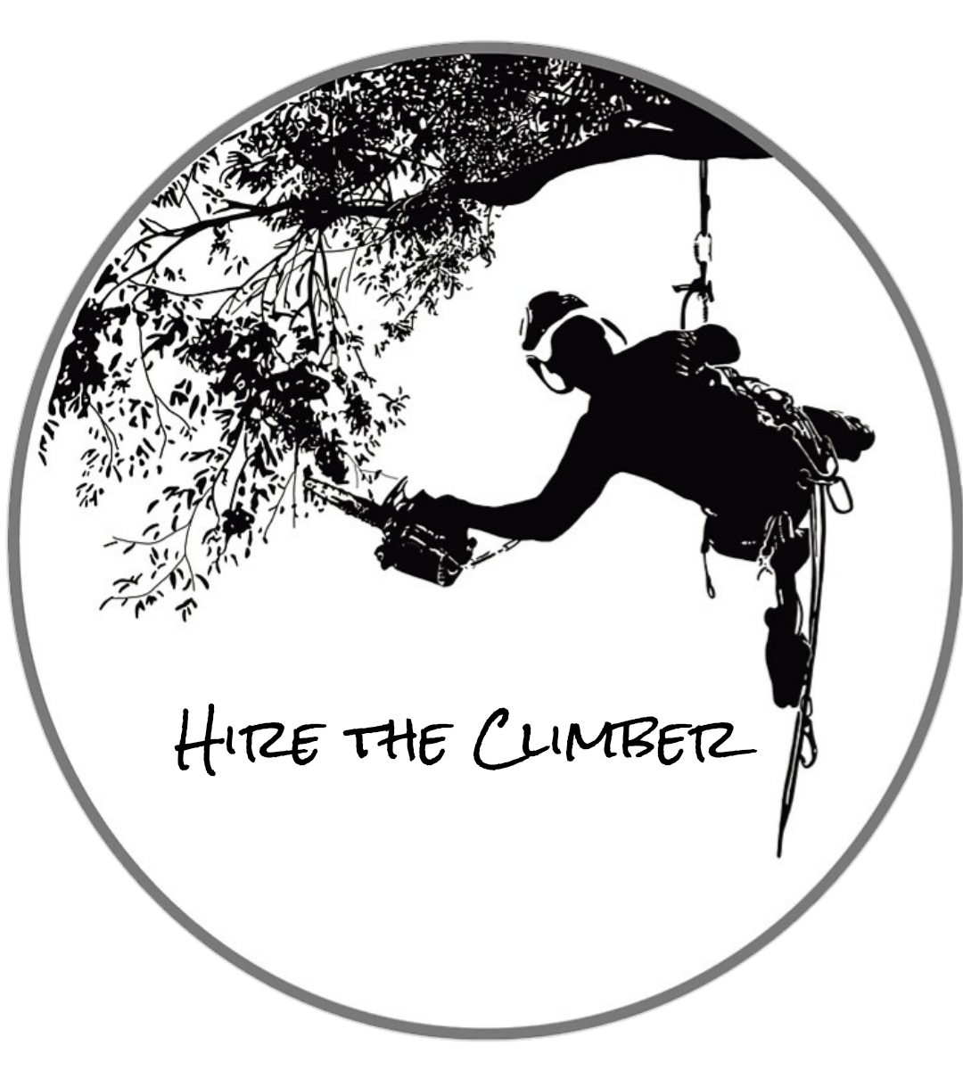 Hire the Climber in Knoxville, TN