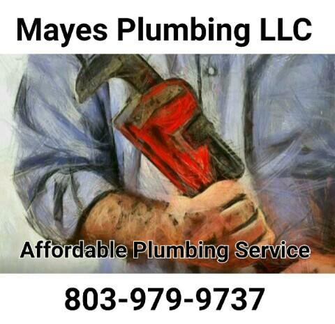 Mayes Plumbing LLC in Chapin, SC
