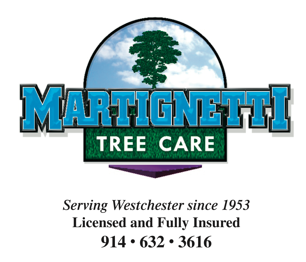 Martignetti Tree Care in New Rochelle, NY