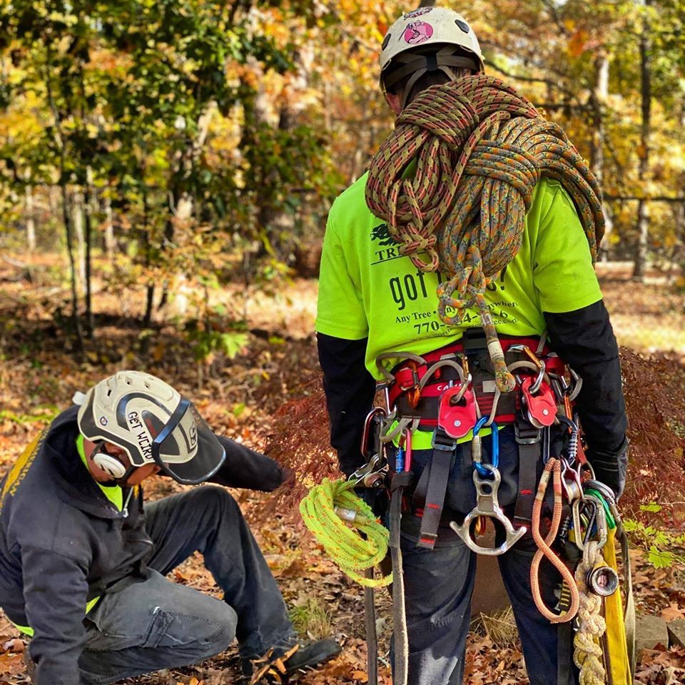North American Tree Service Inc in Loganville, GA